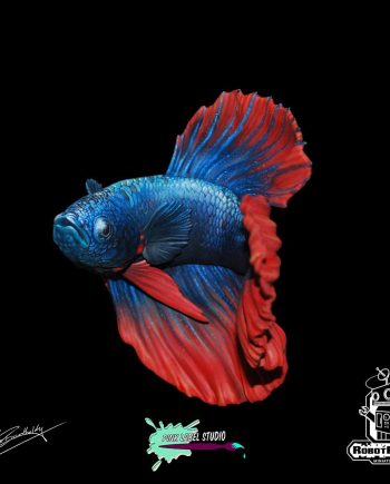 Betta ( Siamese fighting fish )