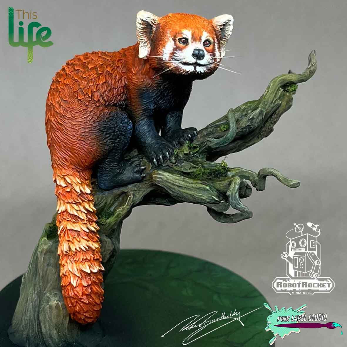 The Red Panda