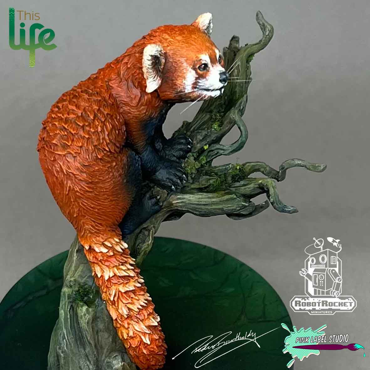The Red Panda