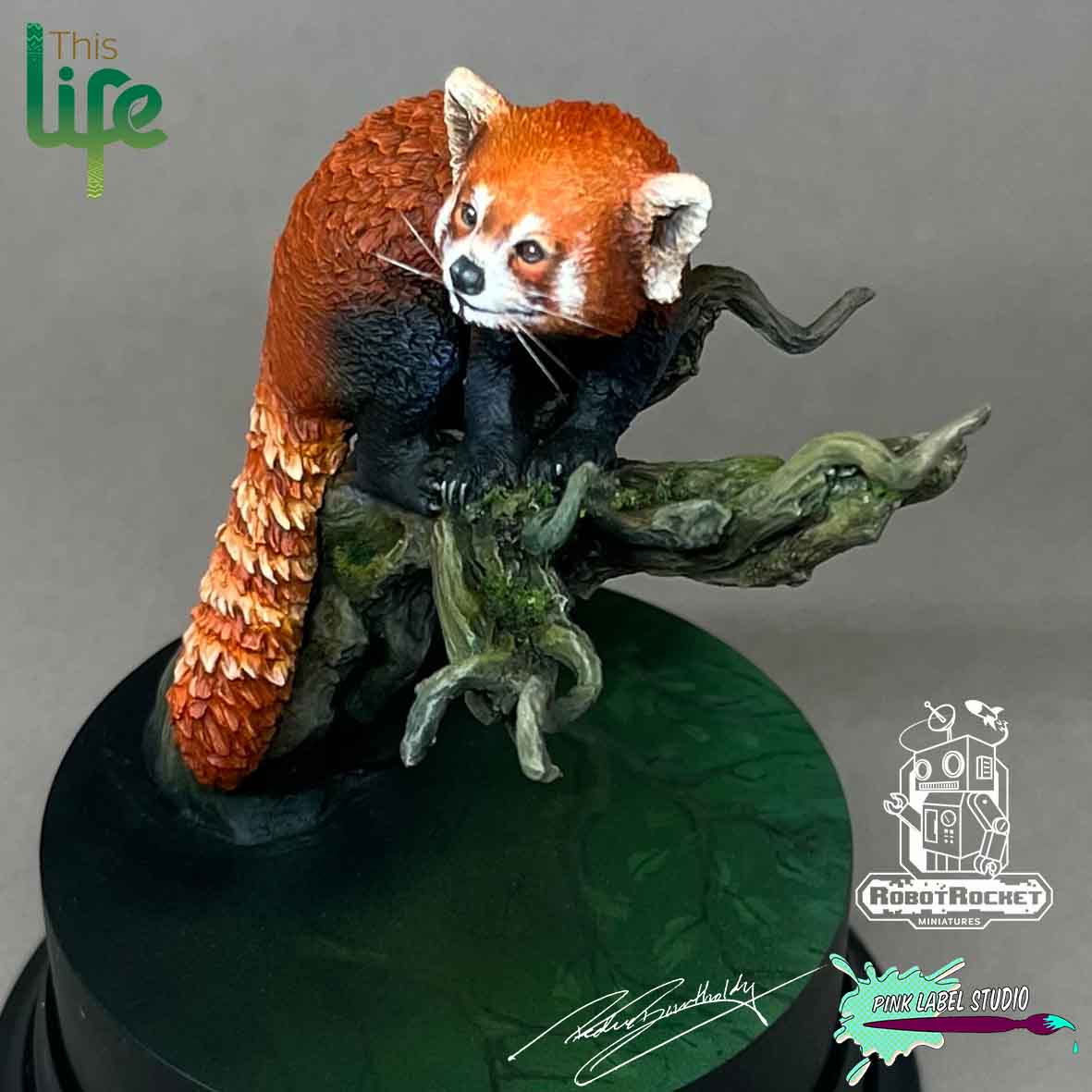 The Red Panda