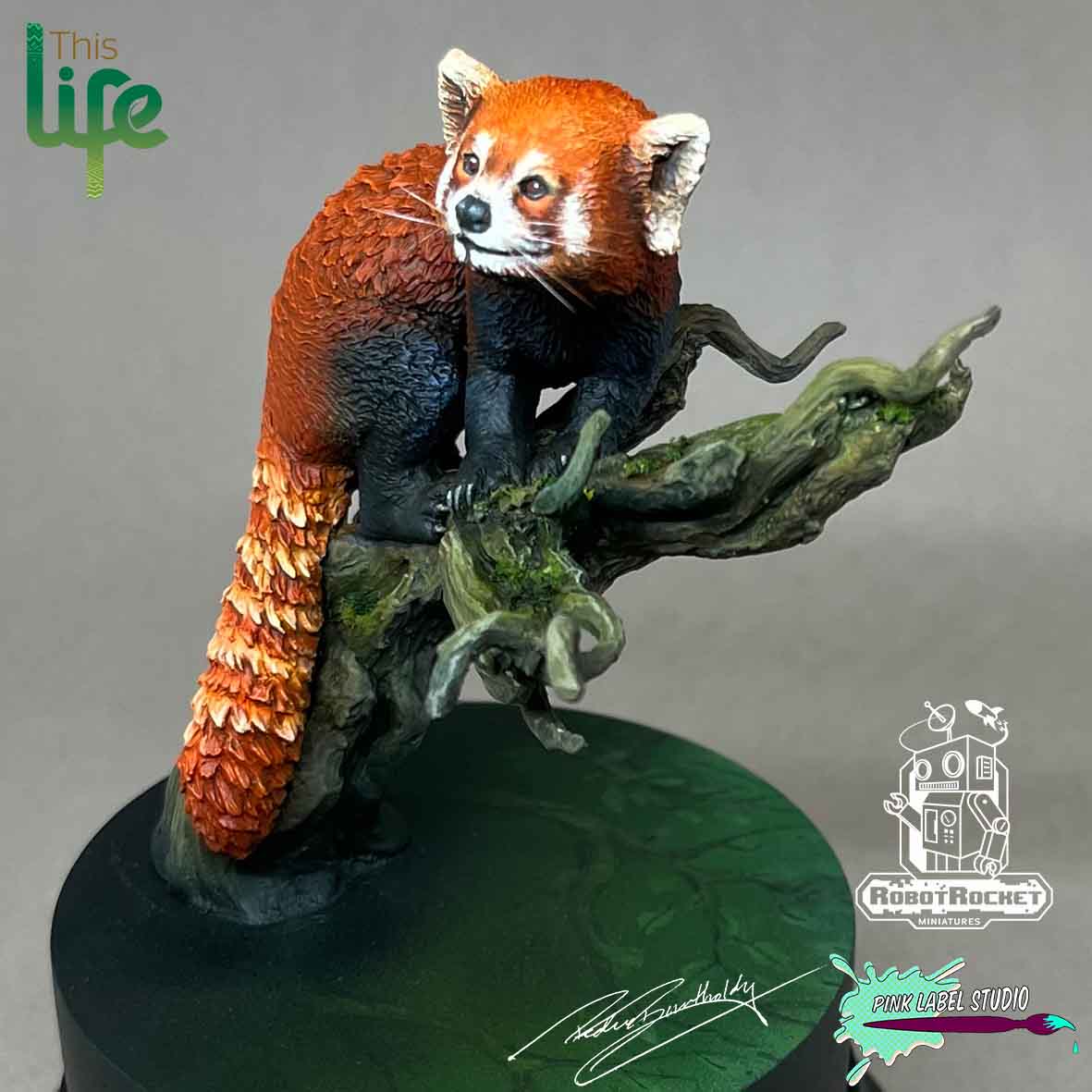 The Red Panda