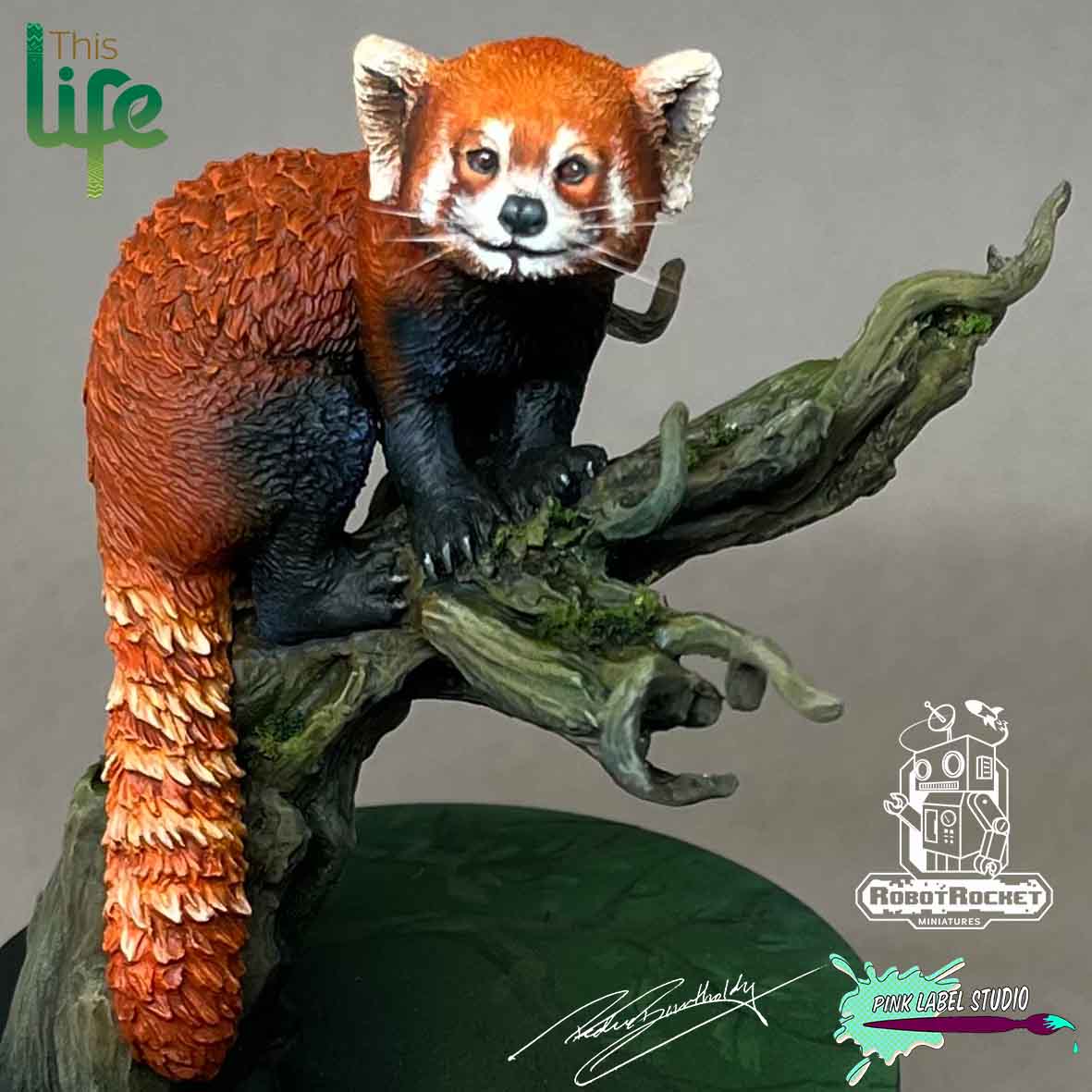 The Red Panda